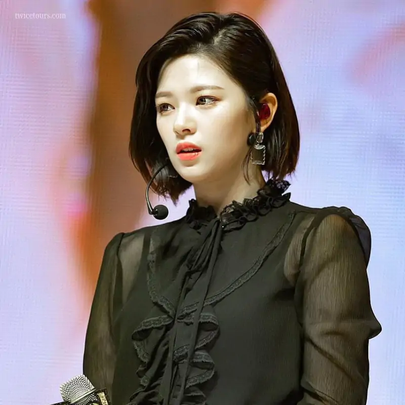 Jeongyeon from TWICE: Career, Albums & World Tour Presence