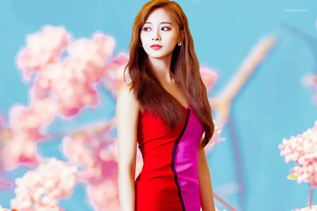Tzuyu TWICE profile, solo debut, tour role and records 6 Fashion Outfit