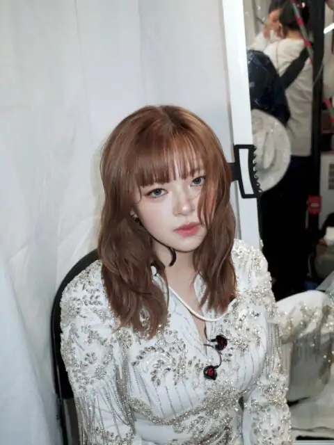 Jeongyeon's Post-Steroid Recovery on TWICE's 2026 Tour